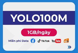 YOLO100M_12T