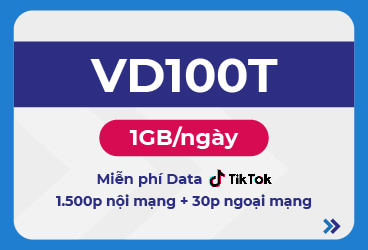 VD100T