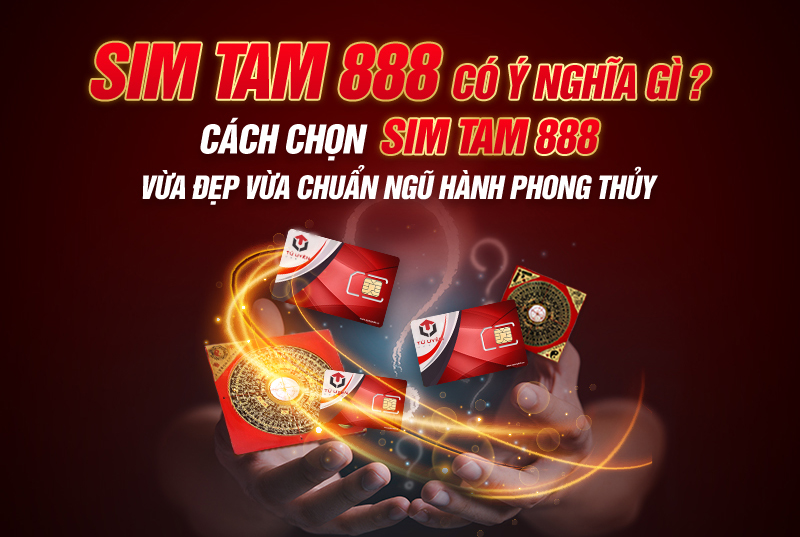 Sim Tam Hoa 888 - Lựa Chọn Mang Đến Thành Công