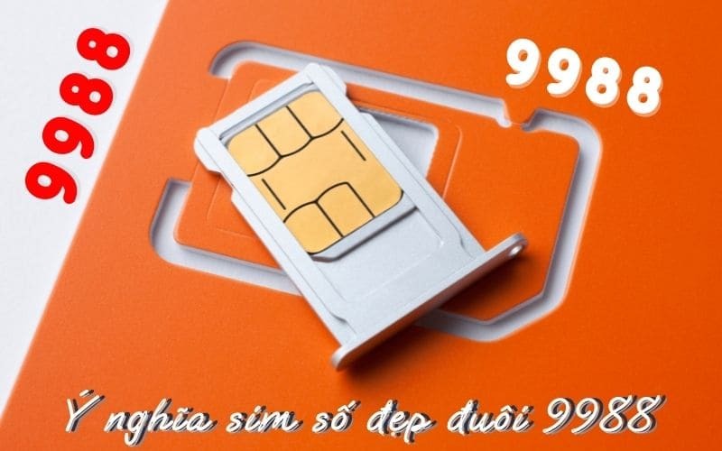 Ý nghĩa sim đuôi 9988:  Cách chọn sim Song Cửu Phát kích tài lộc