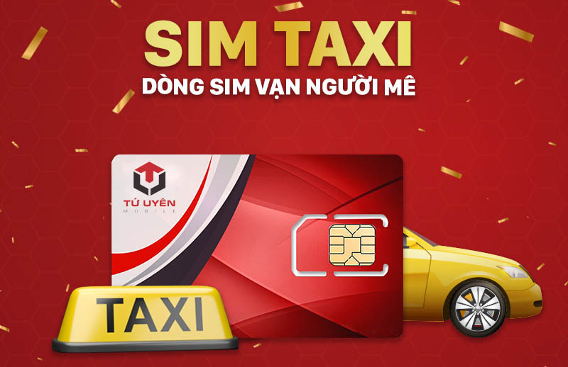 Ý Nghĩa Của Dòng Sim Taixi Dễ Nhớ Mang Lại Điều May Mắn 