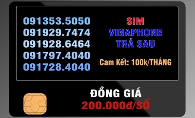SIM Vinaphone Trả Sau | Giải Pháp Liên Lạc Tiết Kiệm