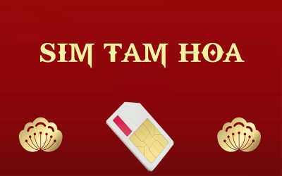 Kho Sim Tam Hoa Giá Rẻ Gò Vấp TP HCM